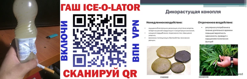 OMG ONION Грозный Гашиш гарик