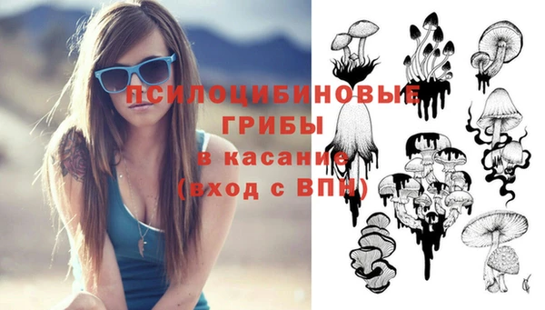 шишки Абдулино