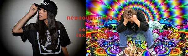 шишки Абдулино