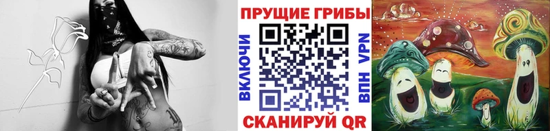 hydra tor  Грозный  Галлюциногенные грибы GOLDEN TEACHER  купить  сайты 